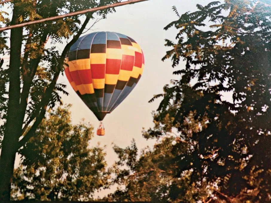 multicolored balloon seen through trees