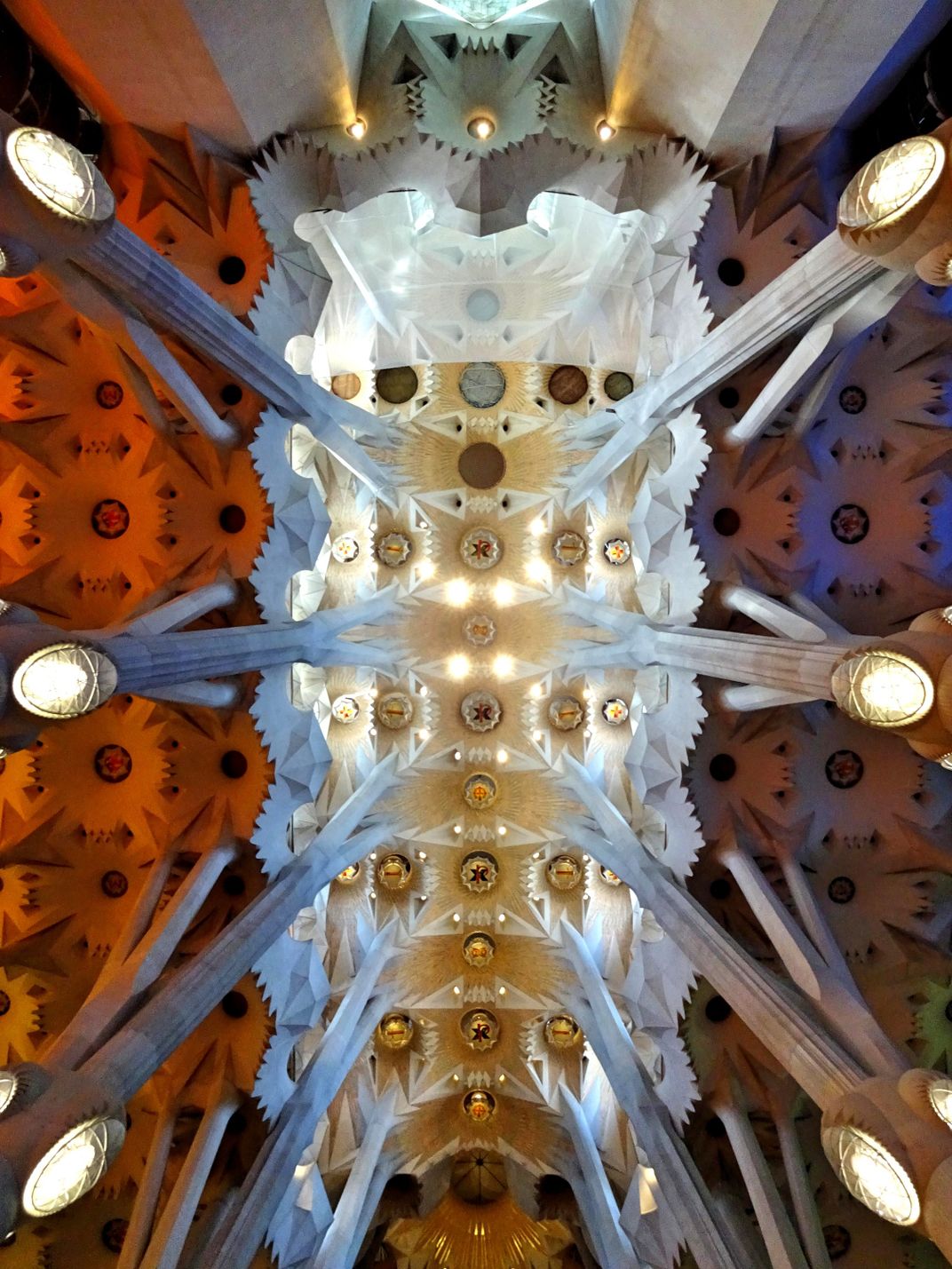 Ceiling of Sagrada Familia | Smithsonian Photo Contest | Smithsonian ...