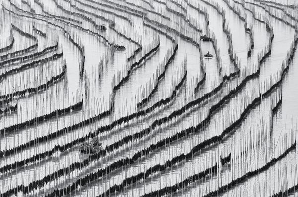 Biggest Seaweed Maze in the World thumbnail
