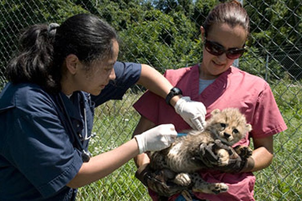 National Zookeeper