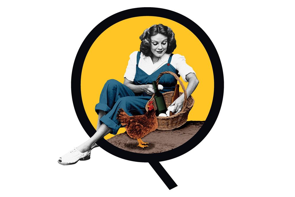 Woman illustration
