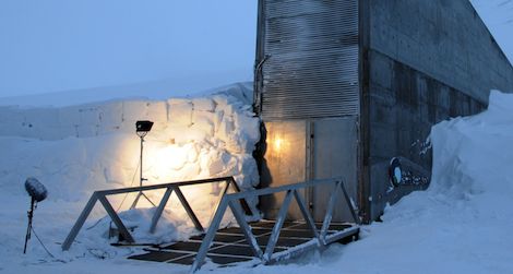 The Svalbard Global Seed Vault