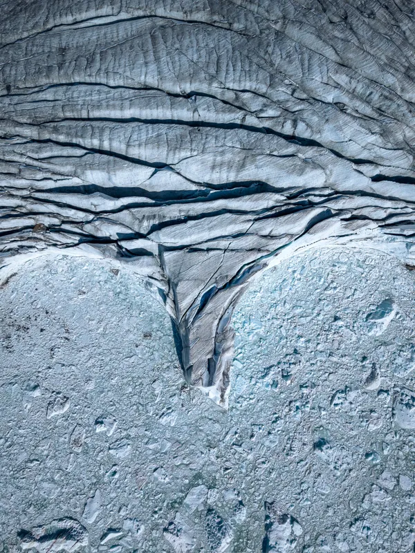 The Dying Giant thumbnail