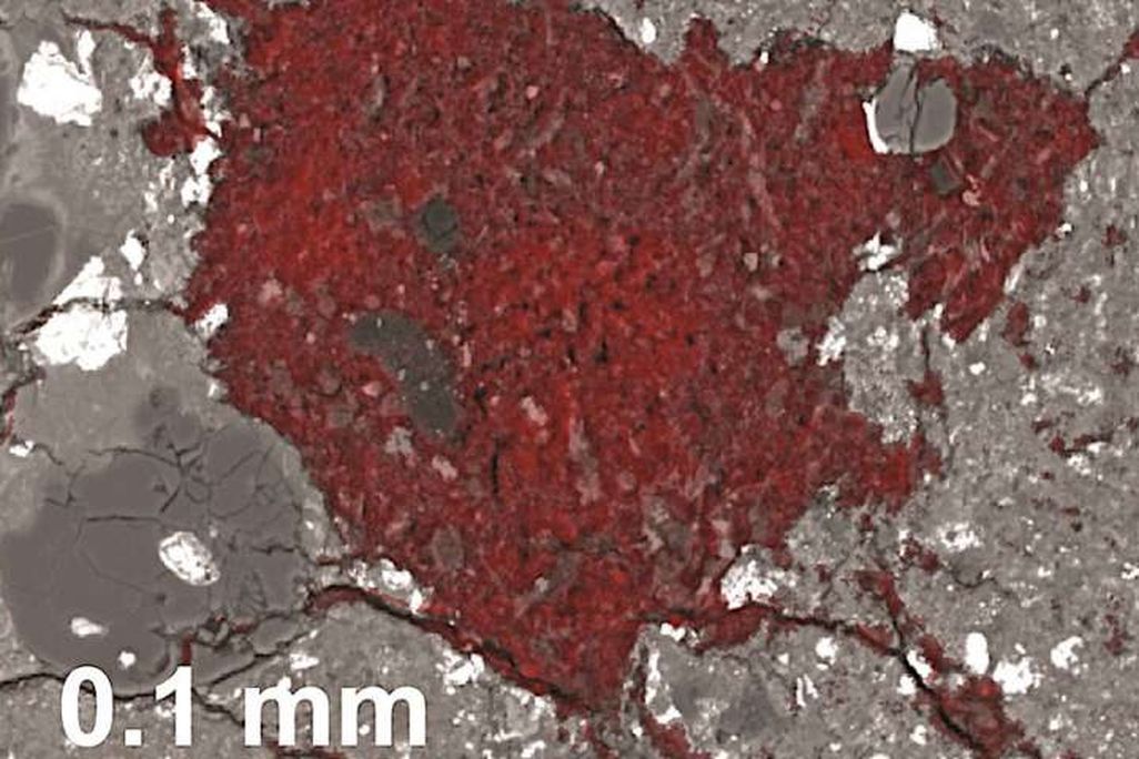 Comet in a Meteorite
