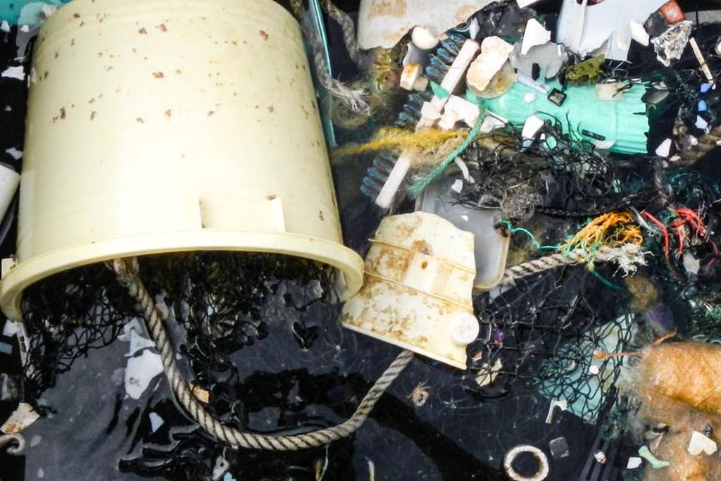Plastic Pollution
