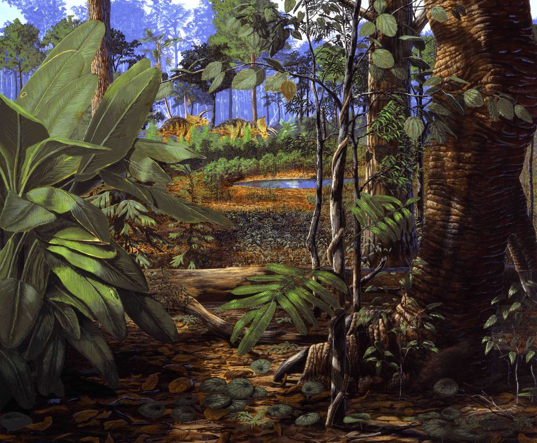 Illustration of tropical area