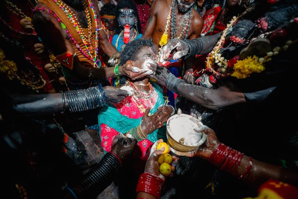 The Sacred Ash thumbnail