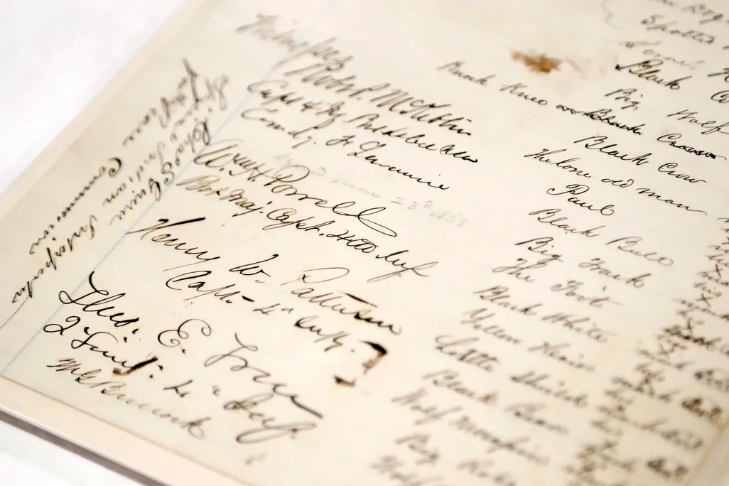 Treaty of 1868