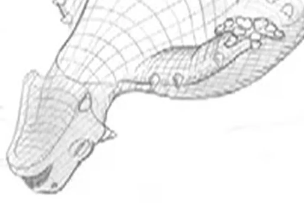 20120130093027ankylosaur-thumb.jpg