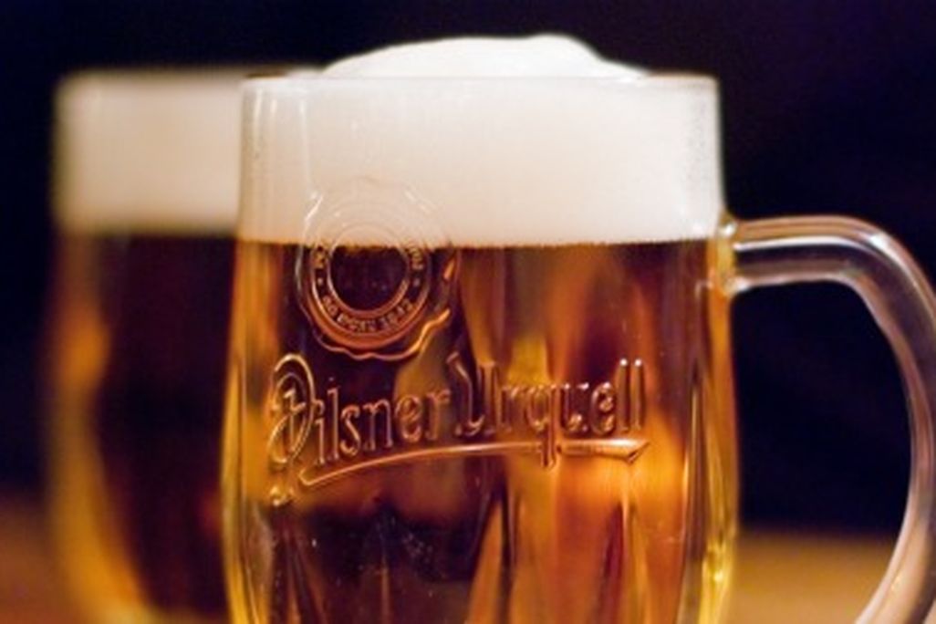 Scientists recently discovered the wild yeast that came to be used to brew lager beer.
