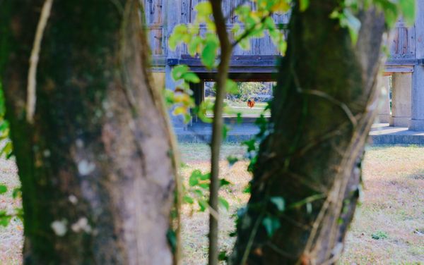 Between the Sacred and the Profane thumbnail