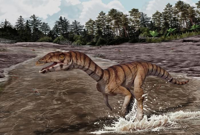 Meet the 'Witch Croc,' a Strange Ancient Crocodile Relative With Two Legs and No Teeth That Roamed New Mexico During the Triassic