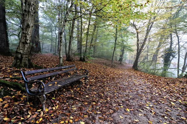 Autumn Bench thumbnail