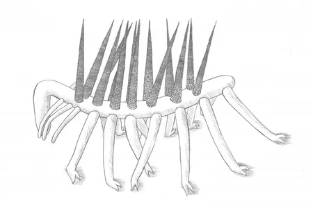 An artist's interpretation of what Hallucigenia sparsa looked like. 