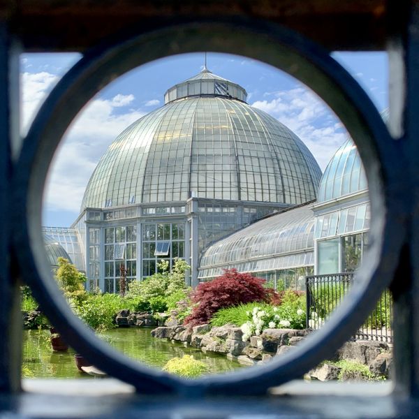 Anna Scripps Whitcomb Conservatory thumbnail