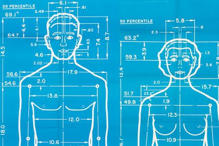 "Joe" and "Josephine" inThe Measure of Man posters, authored by Henry Dreyfuss, designed by Alvin R. Tilley, 1969