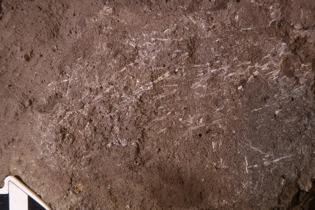 200,000-year-old bedding