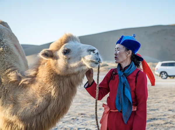 The love of camel thumbnail