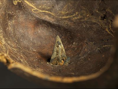 Some human bones, including this skull, found at the Tollense Valley battlefield were pierced with arrowheads.