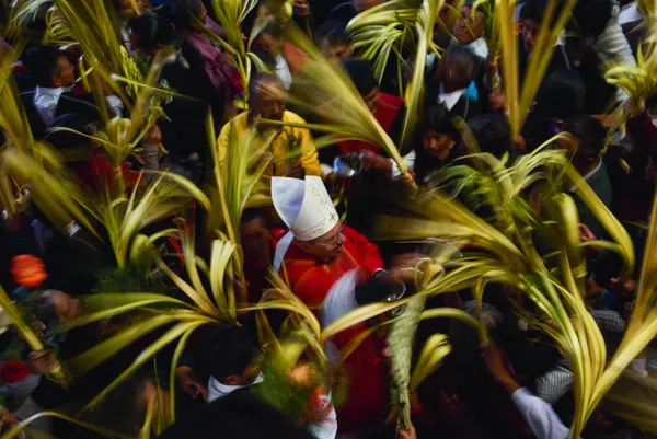 Very Palmy Sunday thumbnail