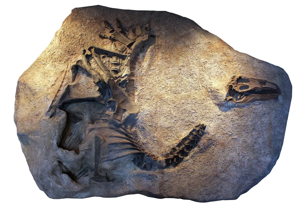 Newly Described Meat-Eating Dinosaur Dominated During the Jurassic Period 