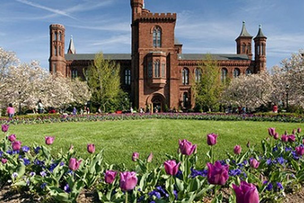 Shake off winter with a scavenger hunt in the Smithsonian Gardens.