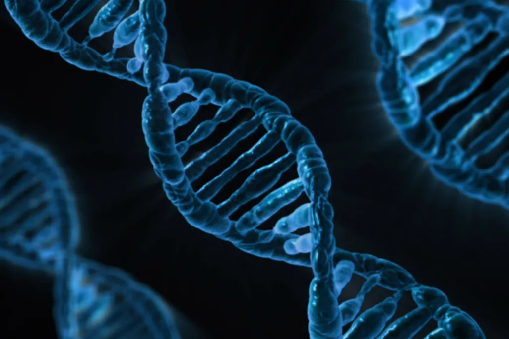 dna.jpg