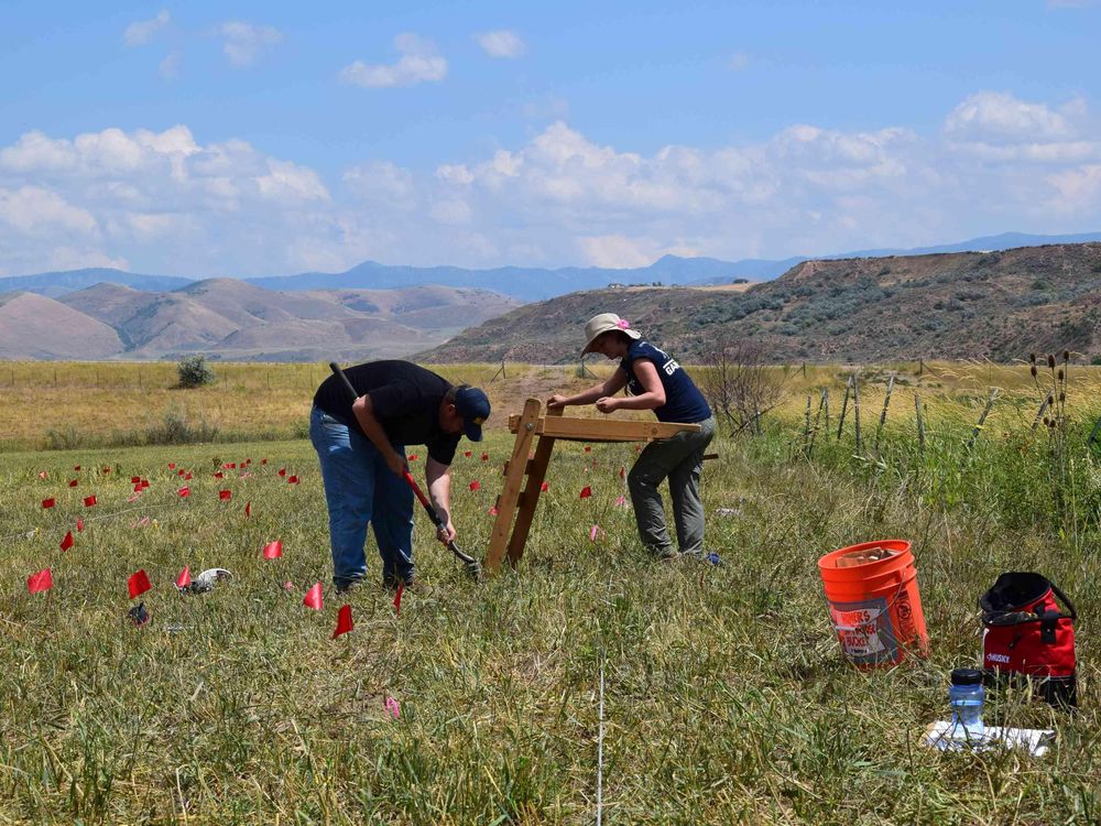 search for the remains of a massacre of Native Americans
