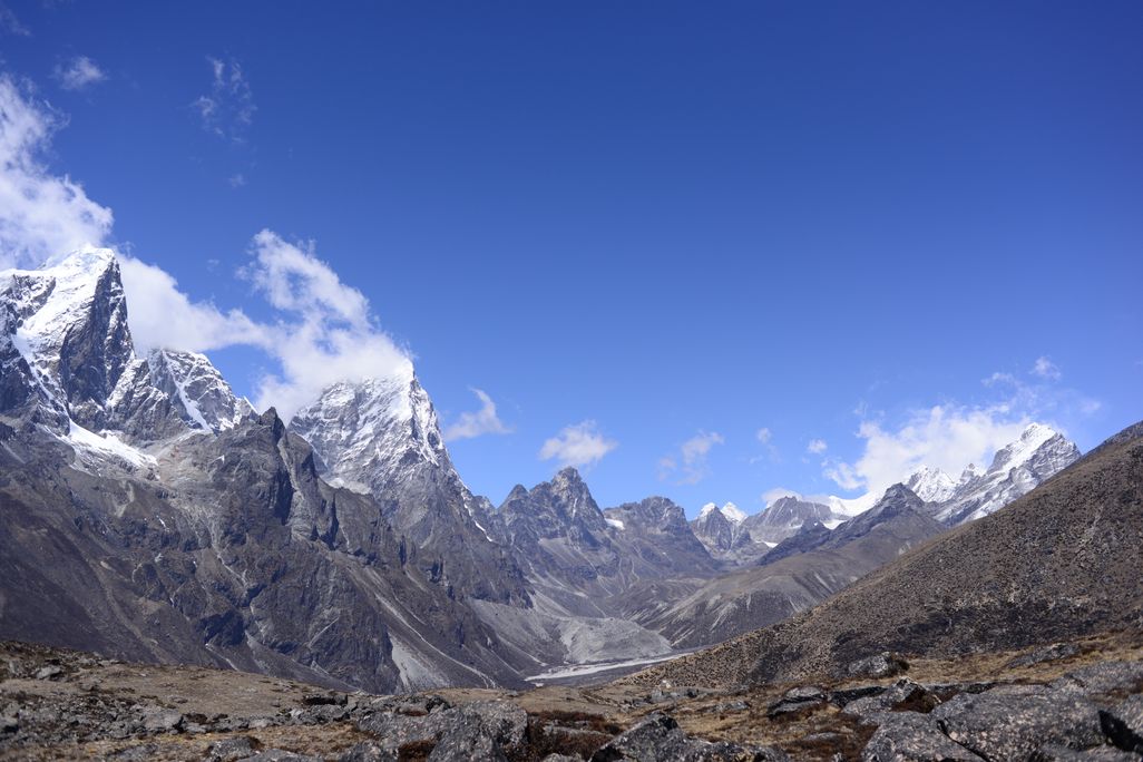 Shrubs in foreground, Khumbu and Cholatse in background
