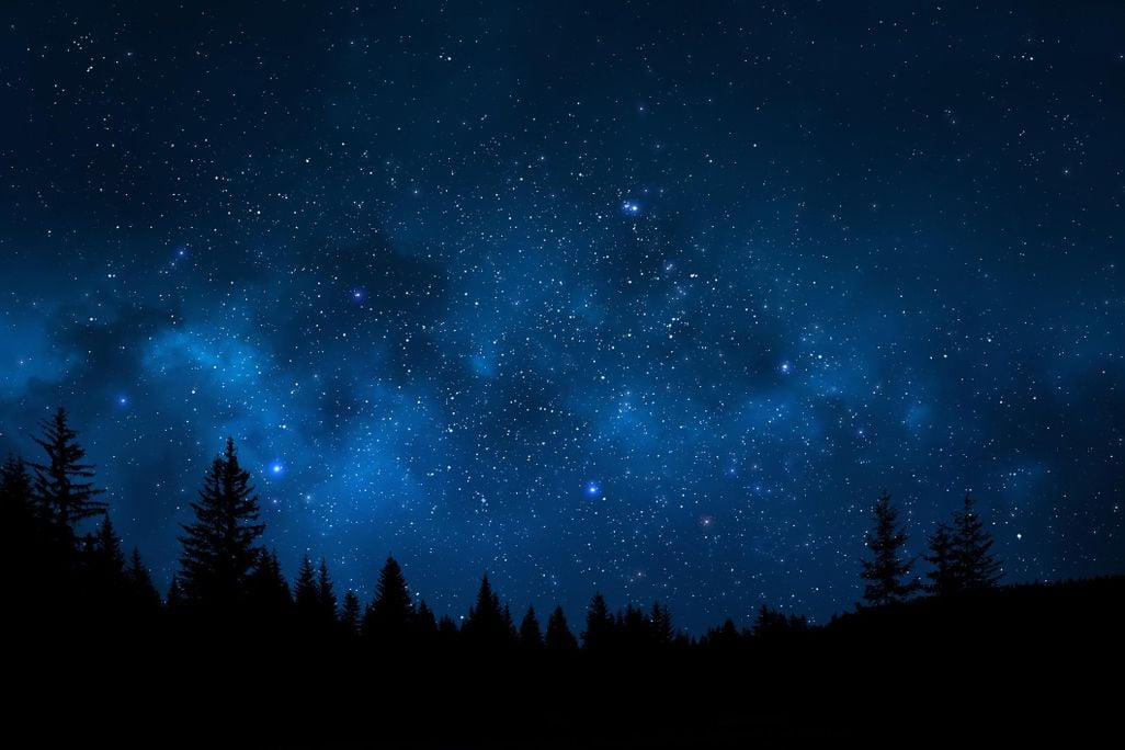 Night