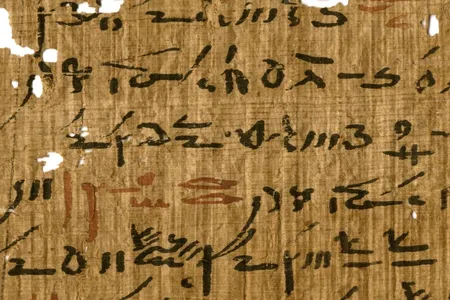 Detail of a medical treatise from the Tebtunis temple library with headings marked in red ink