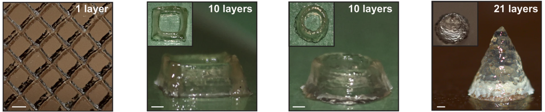 A grid, a cube, a ring and a cone made with microbial E. coli ink