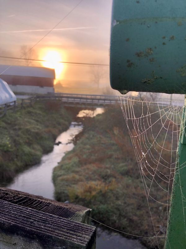 Spider web on the rail trail thumbnail