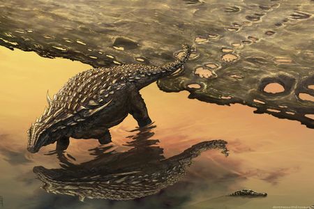 The footprints of ankylosaurs and other 122-million-year-old dinosaurs are preserved outside Moab, Utah.