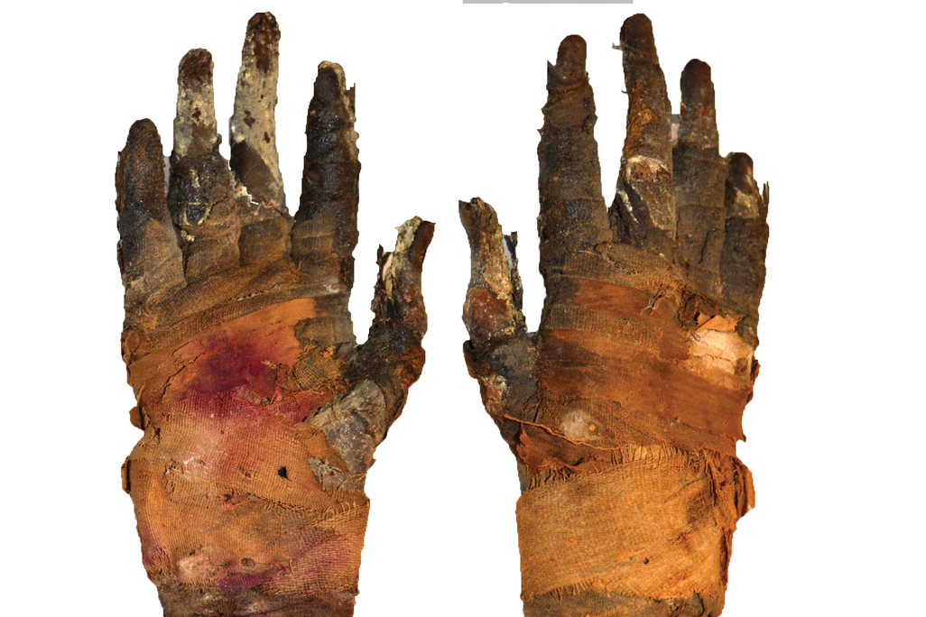 mummyhand-800x813.jpg