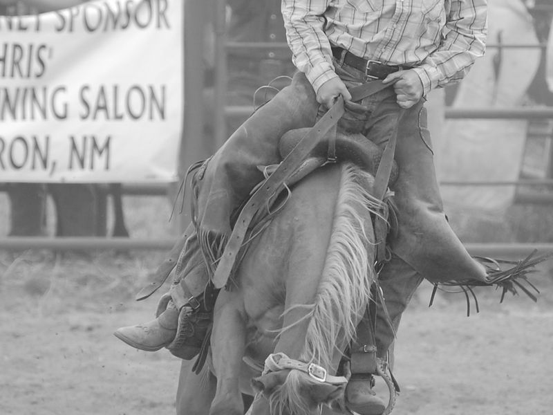 A rider competing in the 4th of July Rodeo in Cimarron, New Mexico