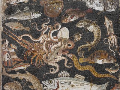 Polychrome mosaic emblema (panel) showing fish and sea creatures, Pompeii, House of the Geometric Mosaics

