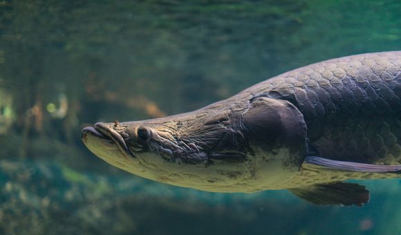 20170609-113RP.jpg