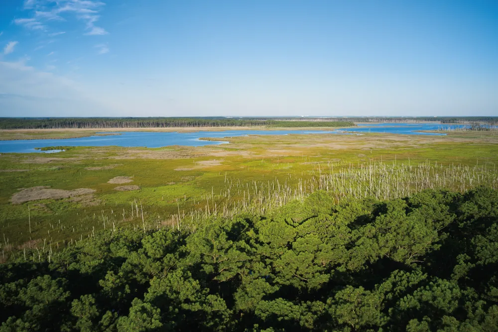 a salt marsh is seen from an aerial view