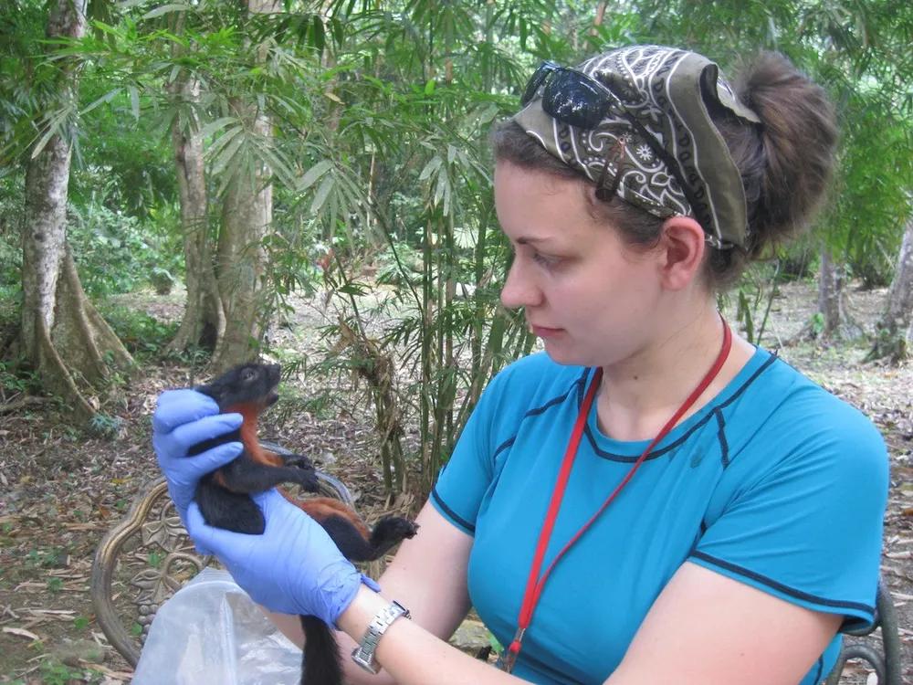 Zoologist Melissa Hawkins holds a squirrel with gloved hands and observes it while in the woods during daylight.