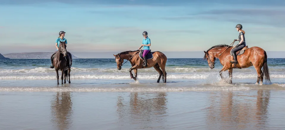  Horseback riding on the beach 