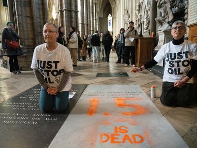 The two Just Stop Oil activists spray-painted &quot;1.5 is dead&quot; on the gravestone of Charles Darwin.