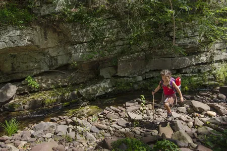 A young hiker in Ramsey's Draft Wilderness