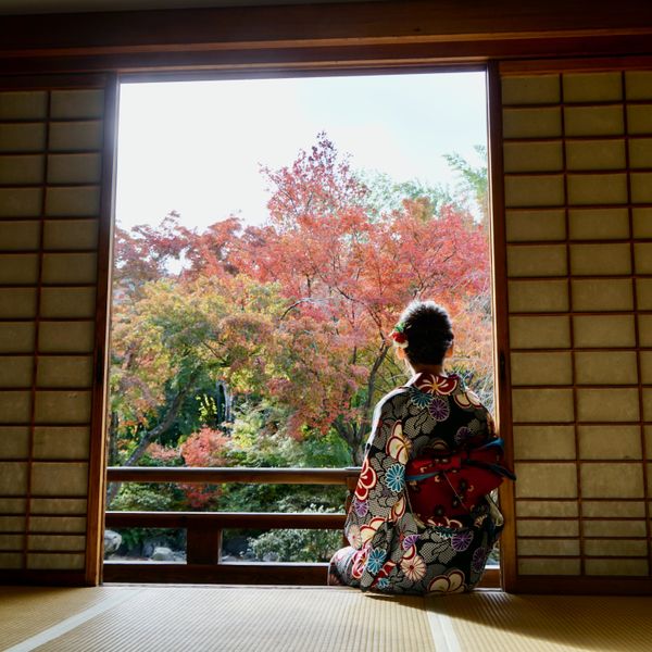 Foliage at Kyoto thumbnail