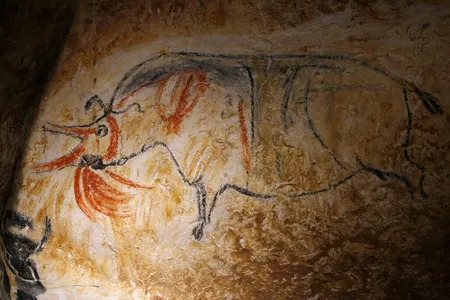 Drawing of a rhinoceros species, now extinct in Europe, in the Caverne du Pont d'Arc near Vallon, France, a replica of Chauvet Cave.