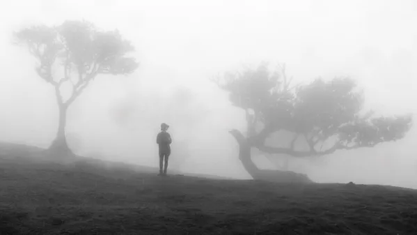 Alone in the fog thumbnail