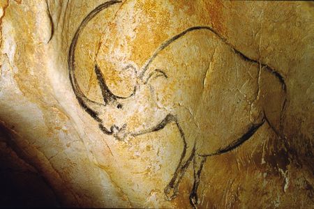 A woolly rhinoceros painted by a prehistoric artist on the wall of Chauvet cave in France
