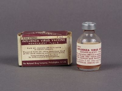 Vial and packaging for the 1957 H2N2 vaccine, at the National Museum of American History. Producing the inoculation required hundreds of thousands of fertilized chicken eggs per day. 