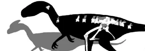 skeleton of Juratyrant