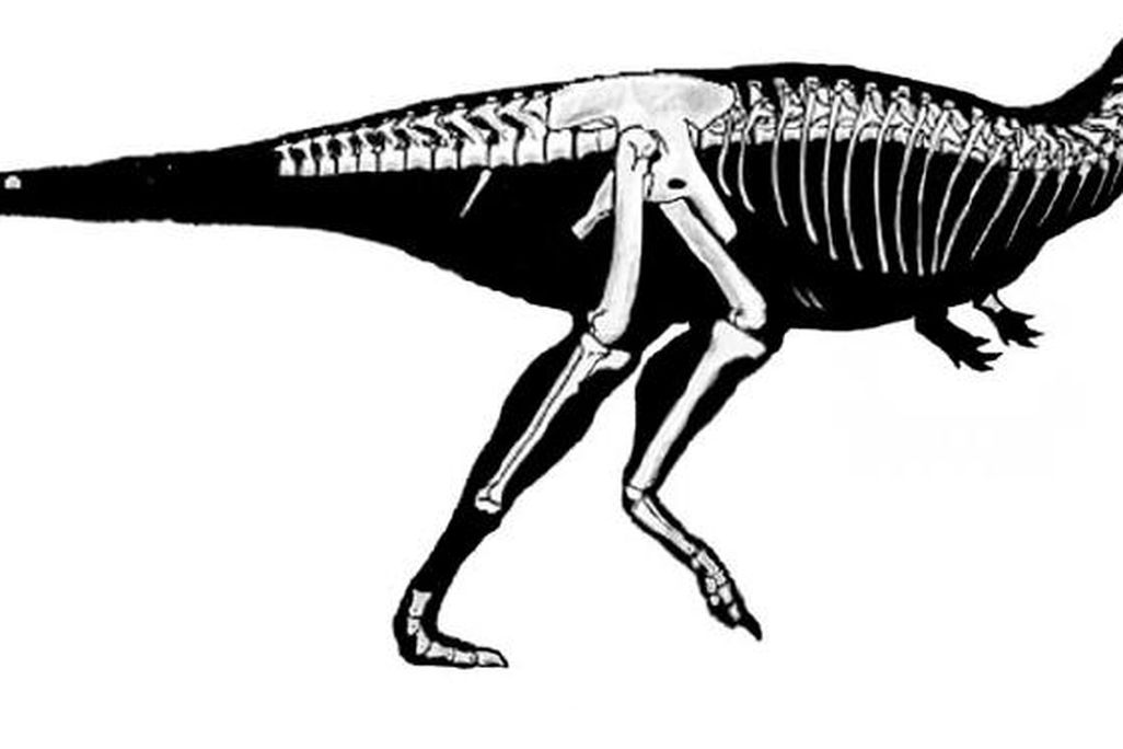 20110520083111skorpiovenator.jpg